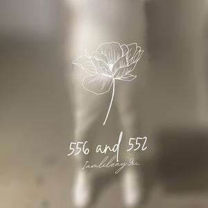 556 and 552