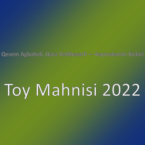 Toy Mahnisi 2022