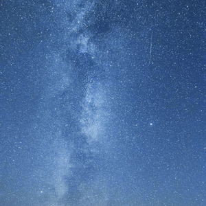 明朝明朝待明朝