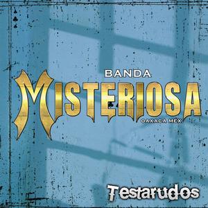 Testarudos