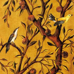 傲红尘（翻自 尤长靖）