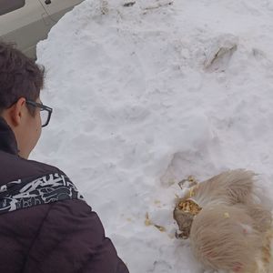 Беспонтовый Изюм