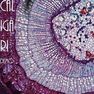 Conceptualizing as a Coping Mechanism