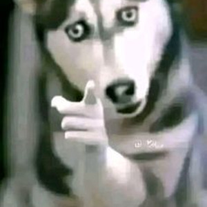 Good Looking (sped up)