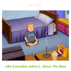 Like Cannabis sativa L. Same The Bass   (Continuous Mix)