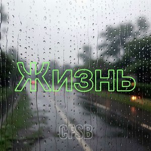 Жизнь