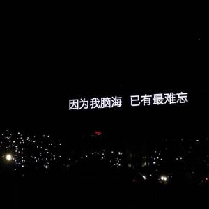 鸽子（翻自 宋冬野）