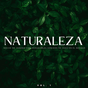 Exploración De La Naturaleza