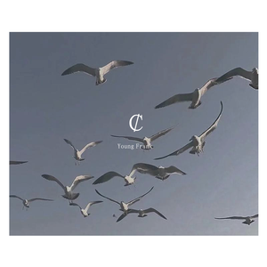 ￠