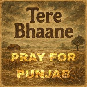 Tere Bhaane (Pray for Punjab)