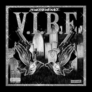 V.I.B.E