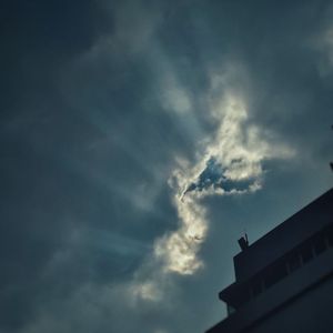 漆漆（东方栀子）