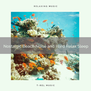 Ultimate Waves Songs and Lazy Sleep