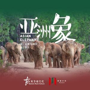 亚洲象