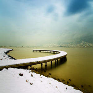 あなたの自由が好きだった