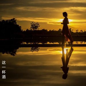 这一杯酒