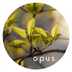 Four Leaves