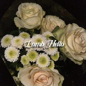 どうして君を好きになってしまったんだろう？