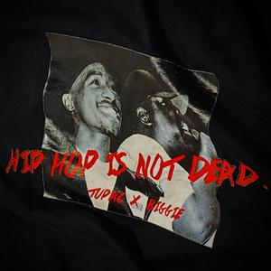 中文嘻哈freestyle（feat.blsb-111）