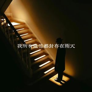 等我所有遗憾都封在雨天