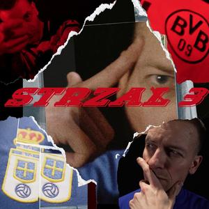 #STRZAL 3 (feat. RaraAvis Beats)