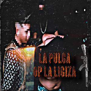La Pulga (OP LA LIGIZA)