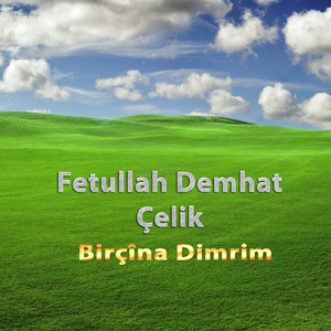 Birçîna Dimrim