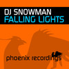 DJ Snowman - Falling Lights (Radio Mix)
