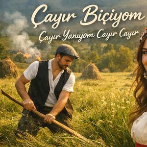 Çayır Biçiyom Çayır Yanıyom Cayır Cayır