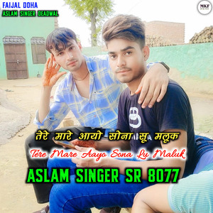 Aslam Singer SR 8077