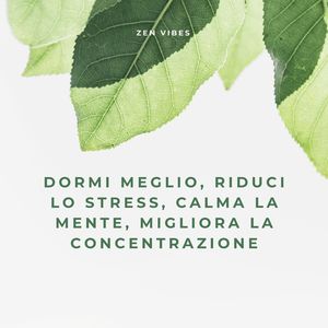 Dormi meglio, riduci lo stress, calma la mente, migliora la concentrazione (2)