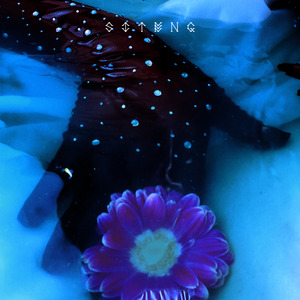 Healing Chroma (灵彩)