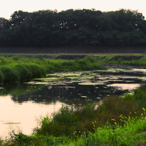 二度と踏まない石