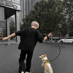 柬埔寨迷幻之夜