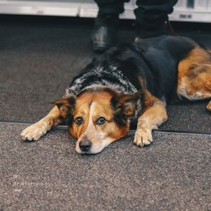 待ち人 (old version)