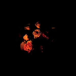 Dark Side of the Moon (Intro)