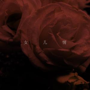 女儿情