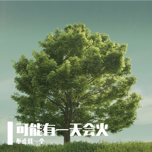 山楂树