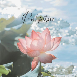 Palpitar (Instrumental Version)