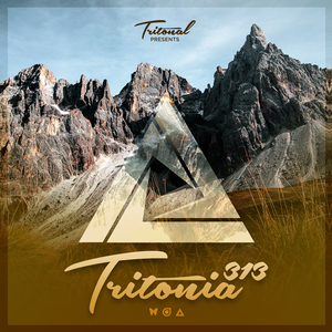 Fearless (Tritonia 313) (Original Mix)