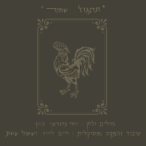 תרנגול שחור