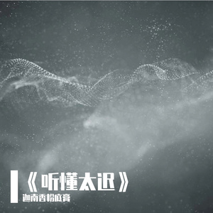 《听懂太迟》