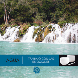 Terapia zona cabeza agua