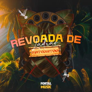 Revoada de Ladrão (Remix)