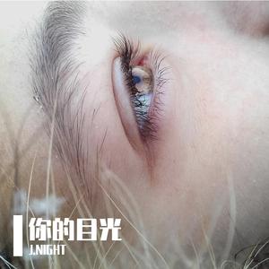 你的目光