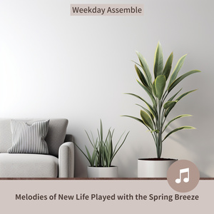 Dappled Light Comfort