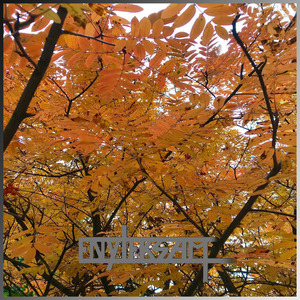 Улетай быстрей