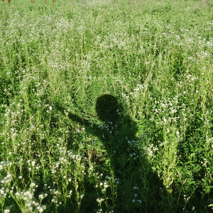 我知道我失去你了