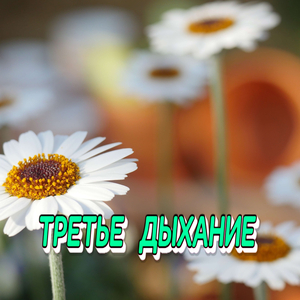 ТРЕТЬЕ ДЫХАНИЕ