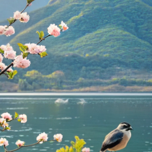 路小雨-我不喜欢你了我要开始新生活（叶湘伦 remix）